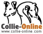 www.collie-online.com - Midzynarodowa baza collie