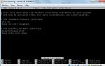 d3204ec987d53113m.jpg