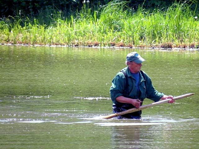 Obrazek