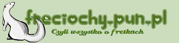 freciochy.pun.pl