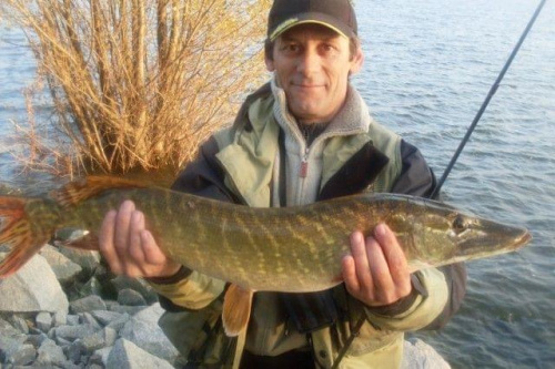 Obrazek