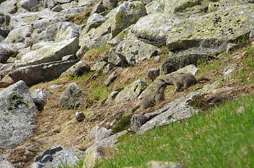 #Tatry #góry #Granaty