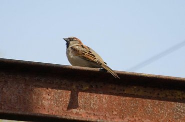 PZK - Polskie zdjęcia krajobrazowe #PZK #Polskie #zdjęcia #krajobrazowe #aparat