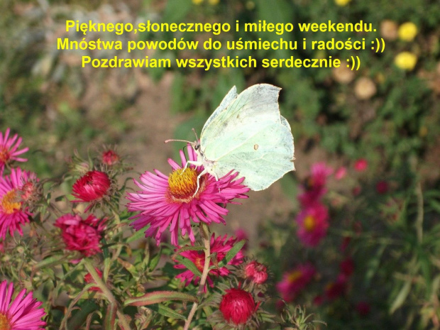 Nie będzie mnie przez weekend-już od jutra rana(praca,wyjazd i praca) więc życzenia są wcześniejsze...Pozdrawiam wszystkich cieplutko i słonecznie i przepraszam że nie do wszystkich dałam radę zajrzeć....prawie miesiąc bez internetu to i nazbierało mi...