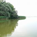 wyspa - bytyń
