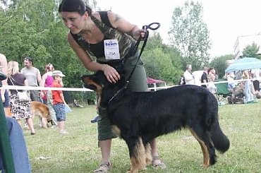 CIRYS znad Rzeki Maskawy CACIB Kraków #Beza #CIRYSZnadRzekiMaskawy #Hovawart