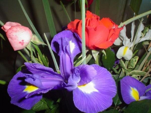 #kwiaty #bukiety #kolory