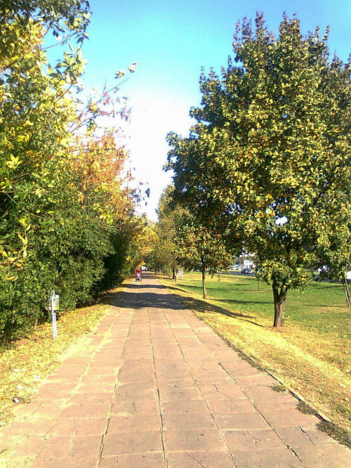 jesiennie (zdjęcie z tel.kom.)