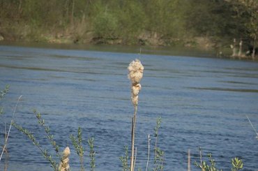 PZK zdjęcia wiosenne #krajobraz #mazowsze #warka #pilica