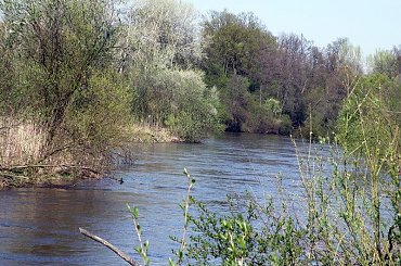 PZK #zielone #wiosna #rzeka #pilica #warka #okolice