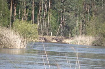 PZK zdjęcia wiosenne #krajobraz #mazowsze #warka #pilica