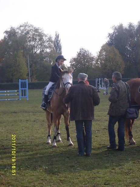 Cudak i Karola Zawody Hubertusowe Ostroga 2011