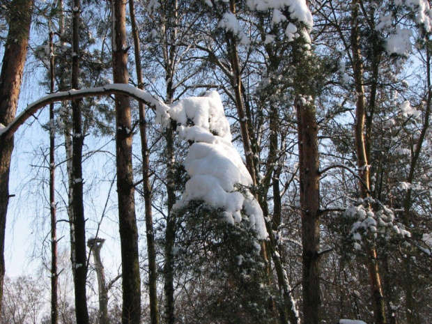 Zima na przedwiośniu #śnieg