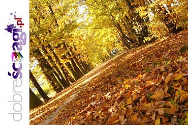 Ściągi - www.DobreSciagi.pl #jesień #krajobraz #pejzaż #tapety #wallpapers