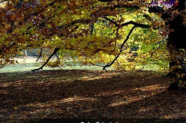 Barwy jesieni #jesień #krajobraz #pejzaż #pulpit #tapety #wallpapers