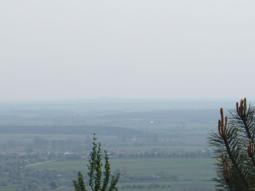 Diabla Góra (285 m) - Wzgórza Opoczyńskie widziana z Góry Kamieńsk #GóraKamieńsk #DiablaGóra #WzgórzaOpoczyńskie