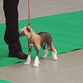 VELIKOLEPNAYA SONYA VOSTOCHNAYA SKAZKA