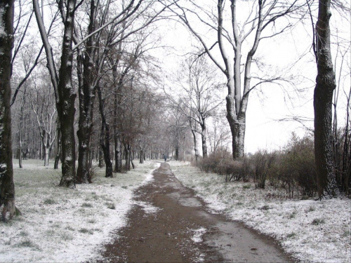 Głogów Park Niemiecki #ParkNiemieckiGŁOGÓW