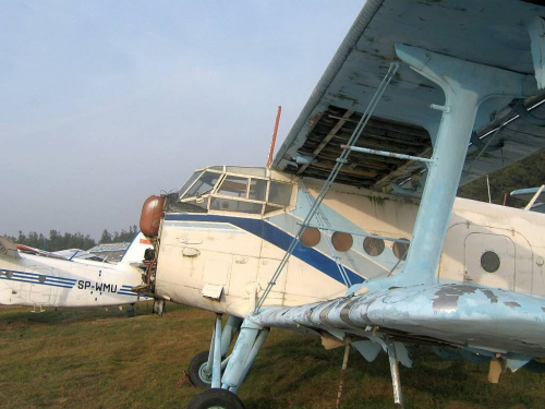 An-2