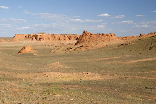 Skamieniałe klify Bayanzag #mongolia #gobi