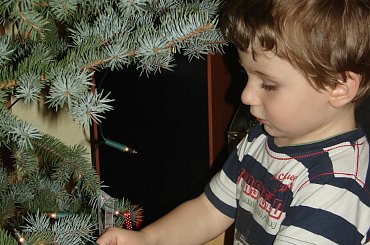 Święta 2011 - choinka #Boże #choinka #Naroszenie #OzdobyChoinkowe #pierniczki #pierniki #Święta