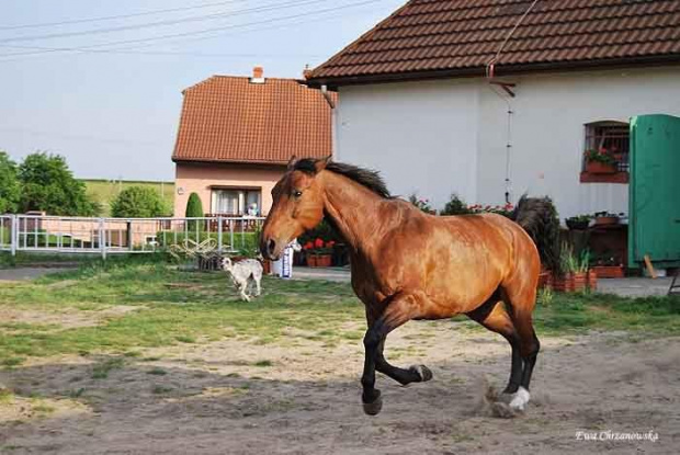 2009.05.21 Trening w Stodołach