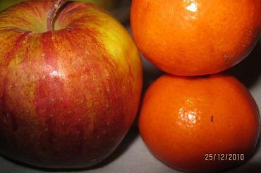 różne #kwiaty #owady #owoce #przyroda #święta