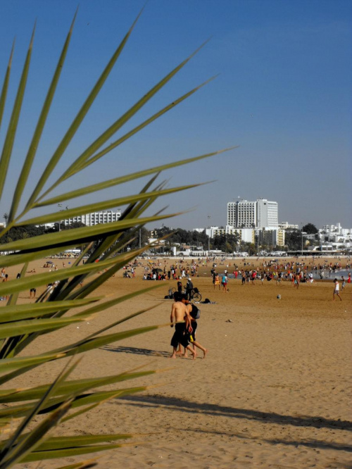 plaża w Agadirze