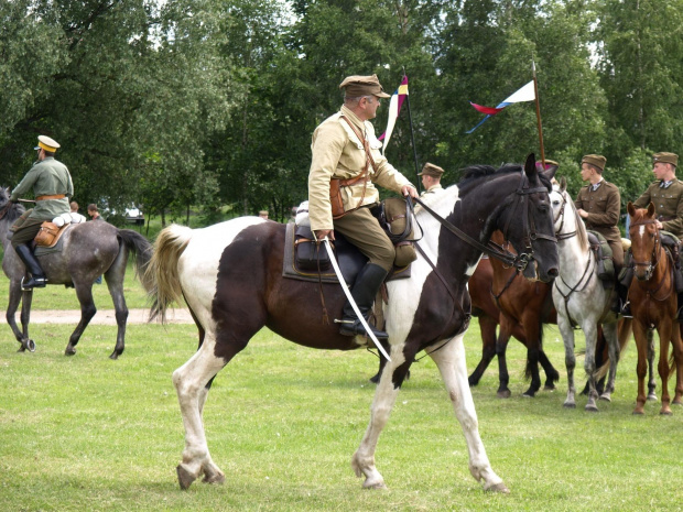 IX Piknik Kawaleryjski w Suwałkach #konie #koń #PiknikKawaleryjski #Suwałki #kawaleria