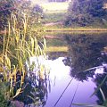 tong park
