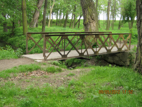 przyrodnicze liście i most park #PrzyrodniczeLiściePark