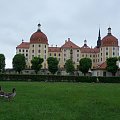Pałac Moritzburg i jego gospodarze ;) #drezno #moritzburg #niemcy #wiosna