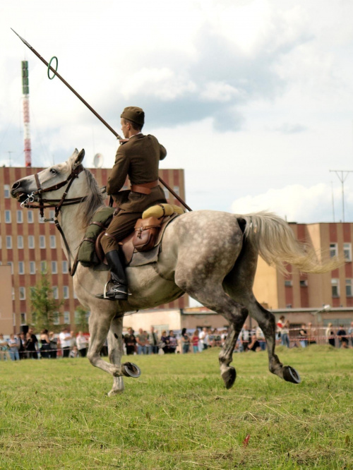 IX Piknik Kawaleryjski w Suwałkach #PiknikKawaleryjski #Suwałki #konie #ułani #kawaleria #lanca