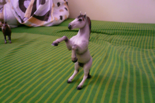 schleich collecta #schleich