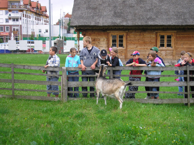 Muzeum Kultury Ludowej