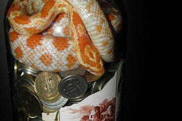 #GADYZWIERZETAWĘŻE