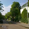 Tyniecka