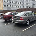 Vectras DK