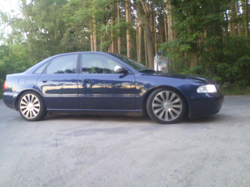 a4 spontan