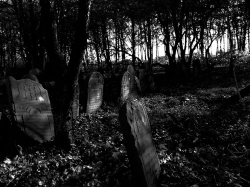 opuszczony cmentarz ... #cmentarz