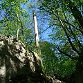 Jura Krakowsko-Częstochowska