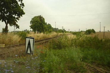 #PKP #kolej #pociągi #widoki