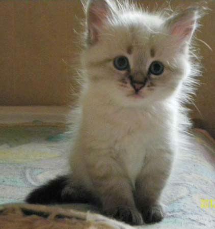 Tu podaj tekst alternatywny