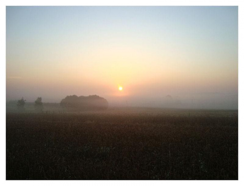 mgła przysłaniająca wschód słońca. #pole #wieś