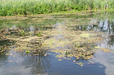 Urlop Pokośno 2012 #urlop