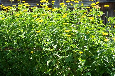 Urlop Pokośno 2012 #urlop