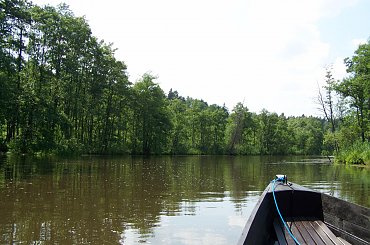 Urlop Pokośno 2012 #urlop