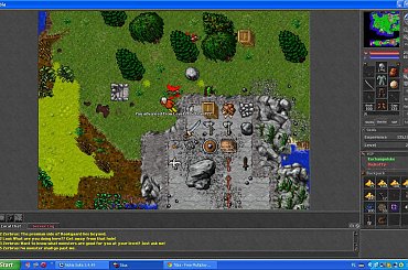 #Tibia