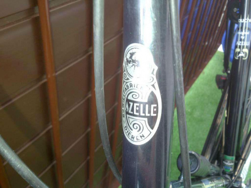 #Gazelle #RowerHolenderski