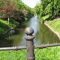 #lato #rzeka #woda #Wrocław #przyroda